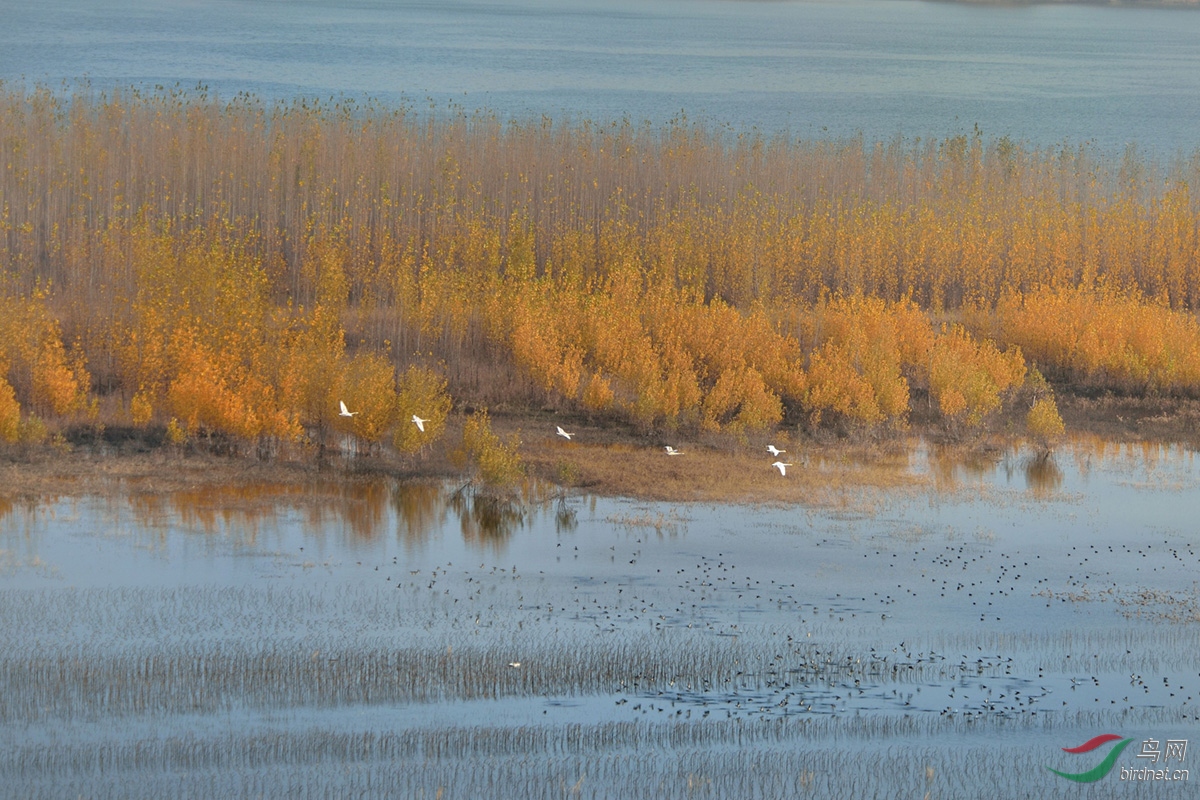 DSC_9944_����.jpg