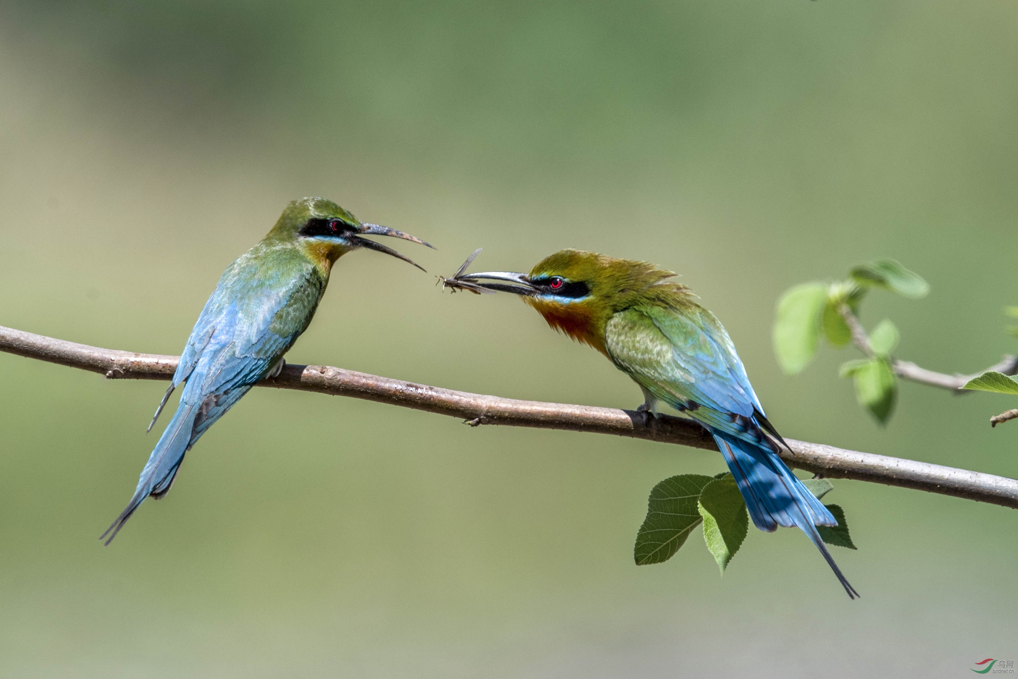 DSC_7796.jpg