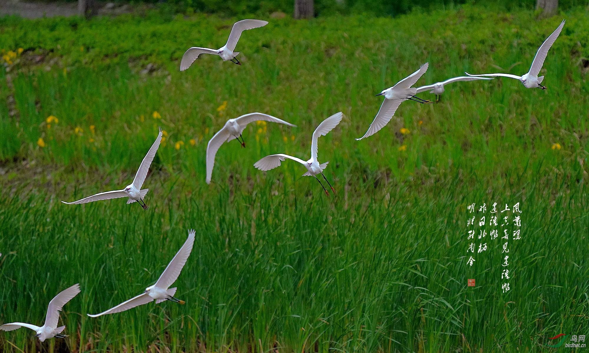 5 dsc05547_副本_副本.jpg