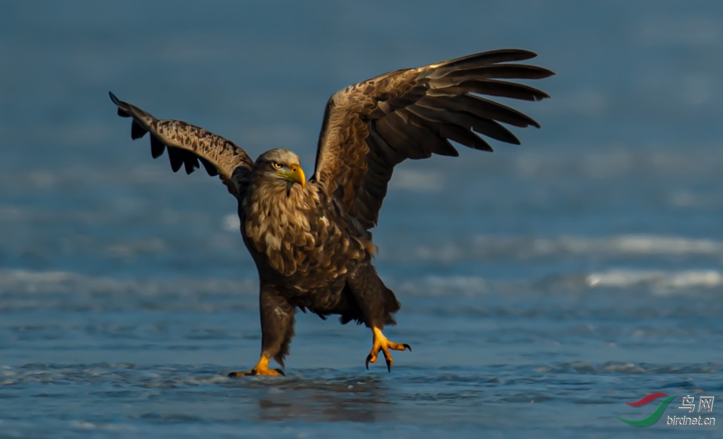 DSC_3104-0.jpg