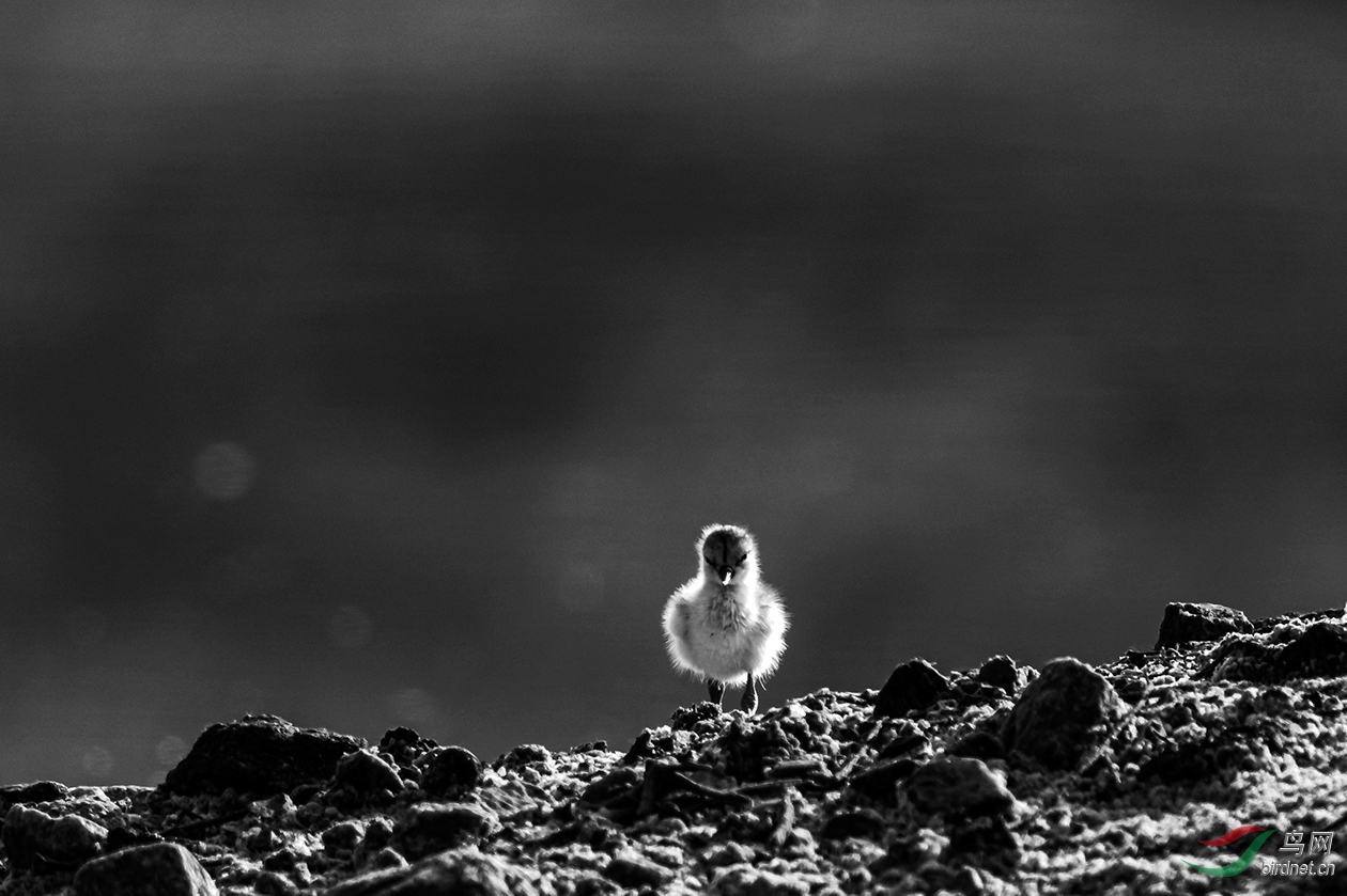 С������