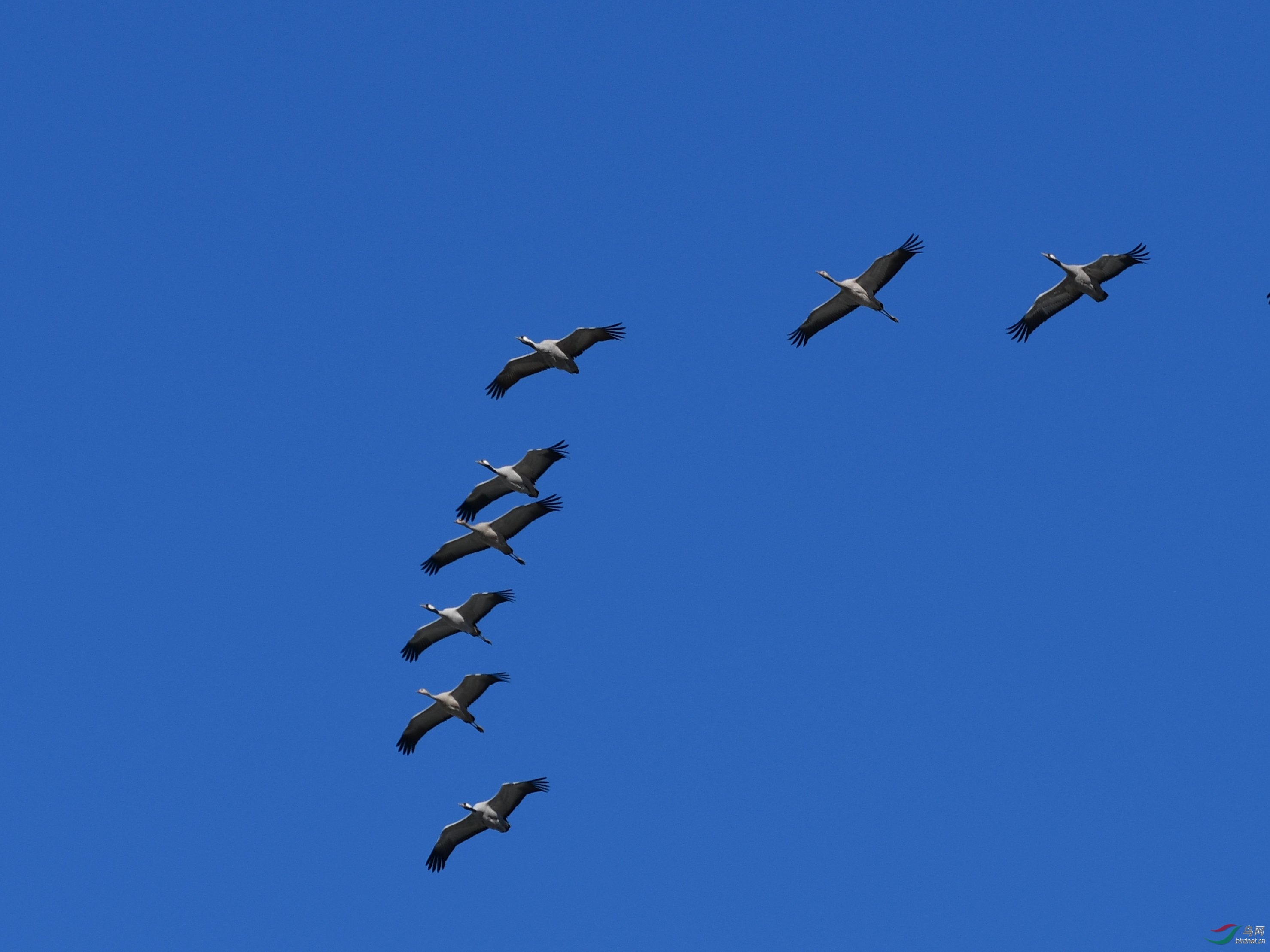 DSC_5790_����.jpg
