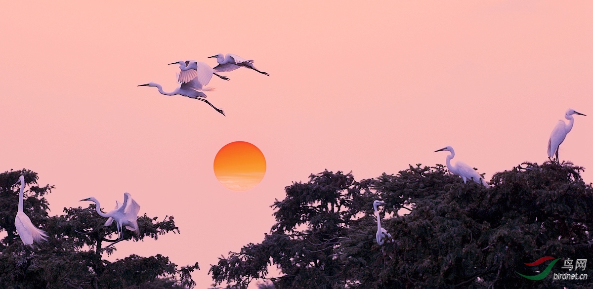 Ϧ������