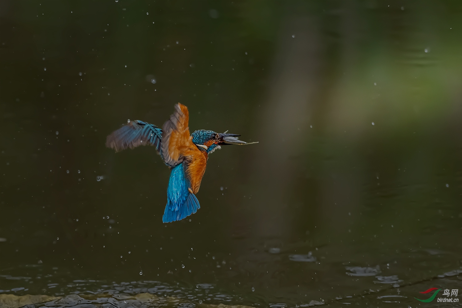 _DSC3986-3.jpg