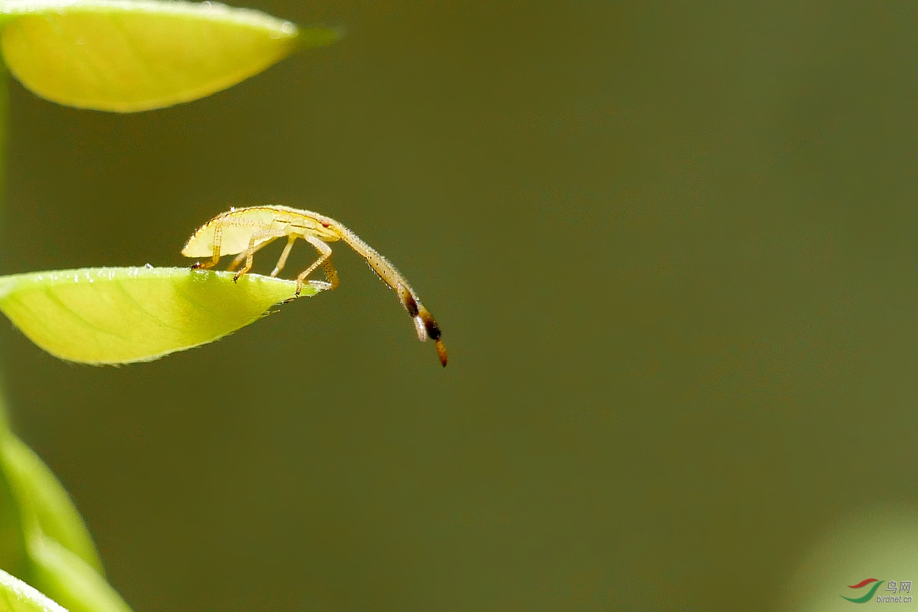 202037.�����в��ܳ���֮��