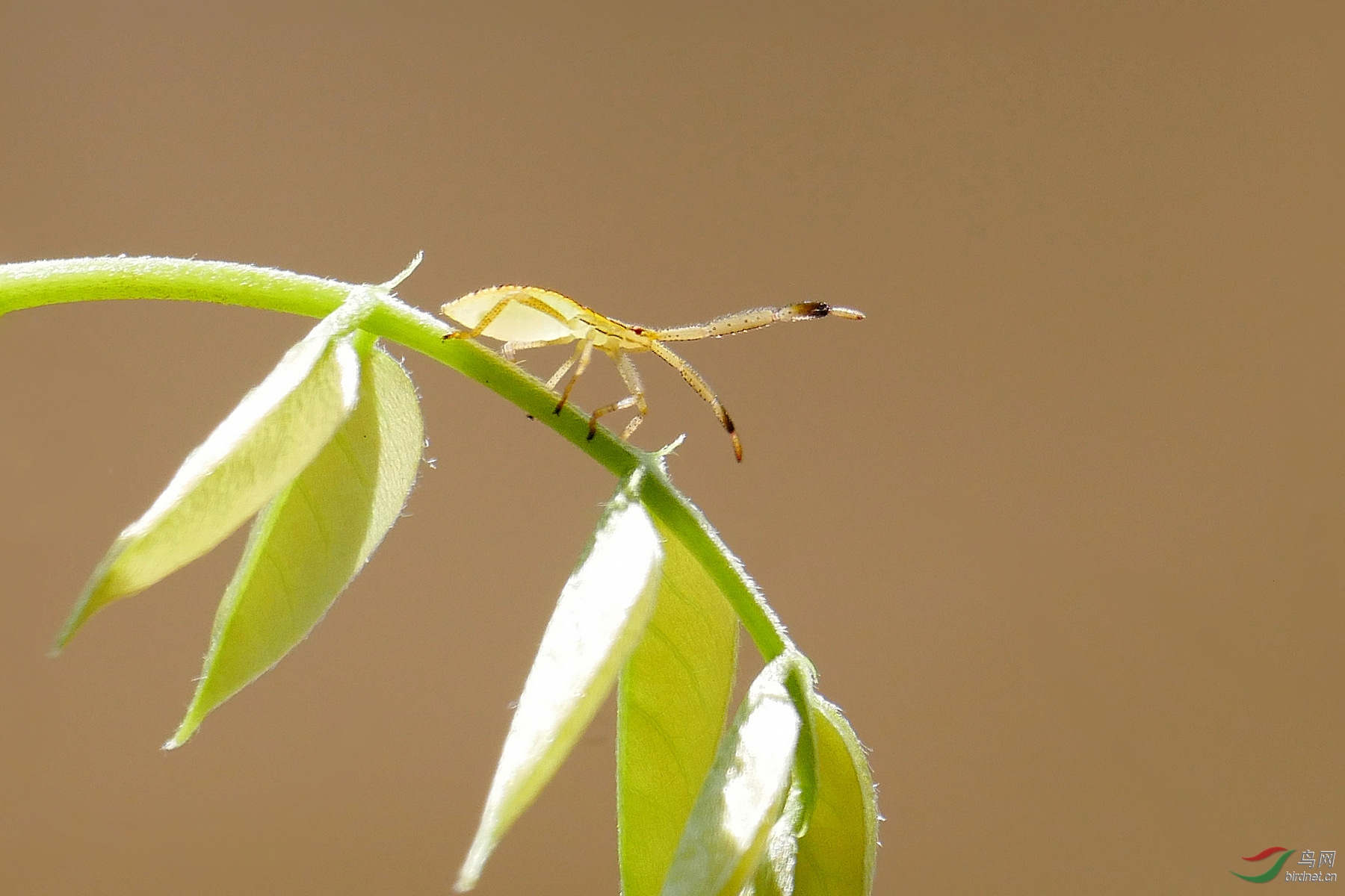 202038.�����в��ܳ���֮��