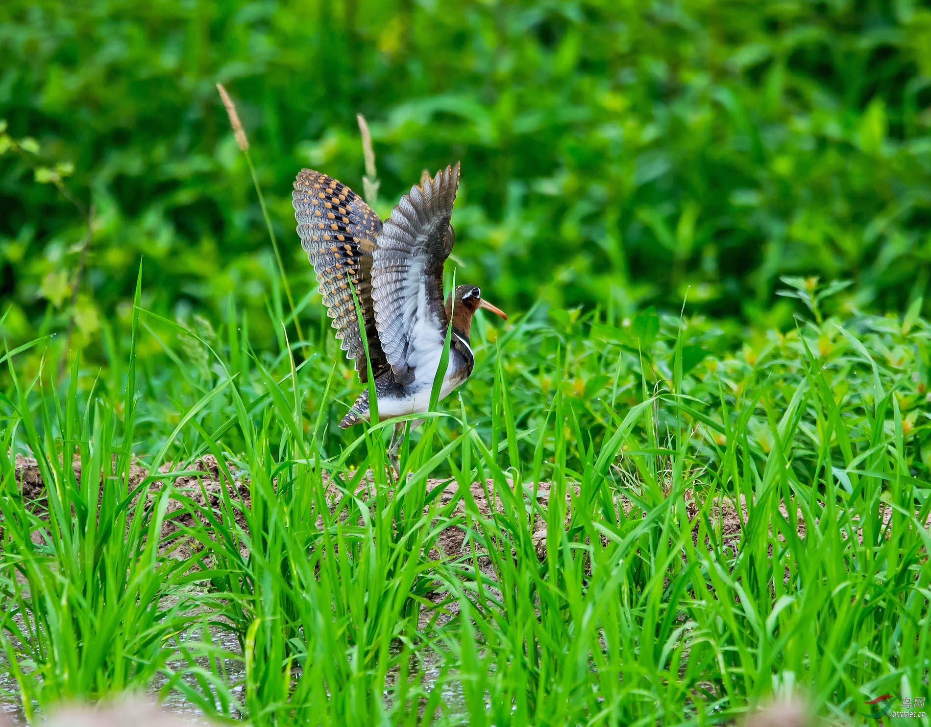 30������