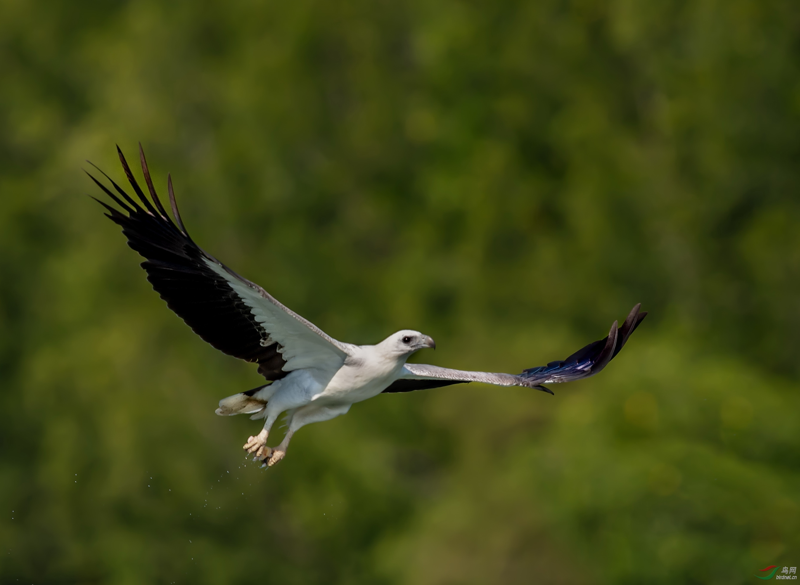 _DSC7593v.jpg