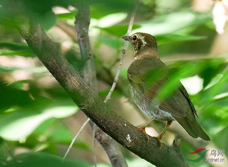 P4770592.JPG