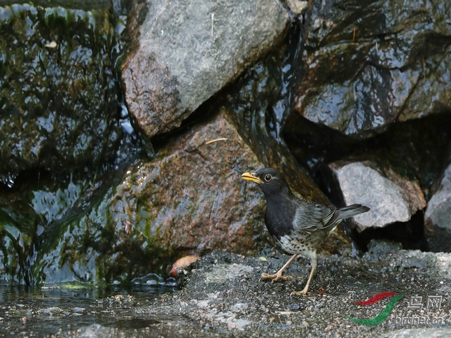 DSC20200512175.jpg