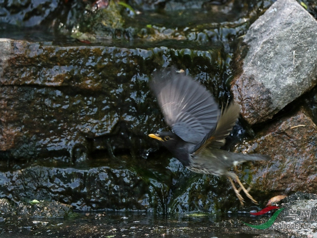 DSC20200512192.jpg