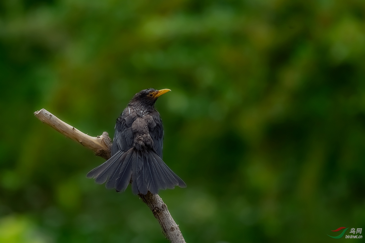 _DSC4252-2.jpg