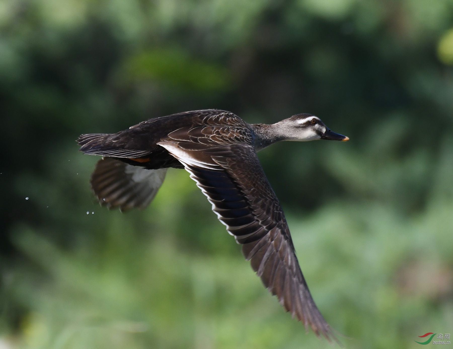 ������Ӱ 1411����.jpg