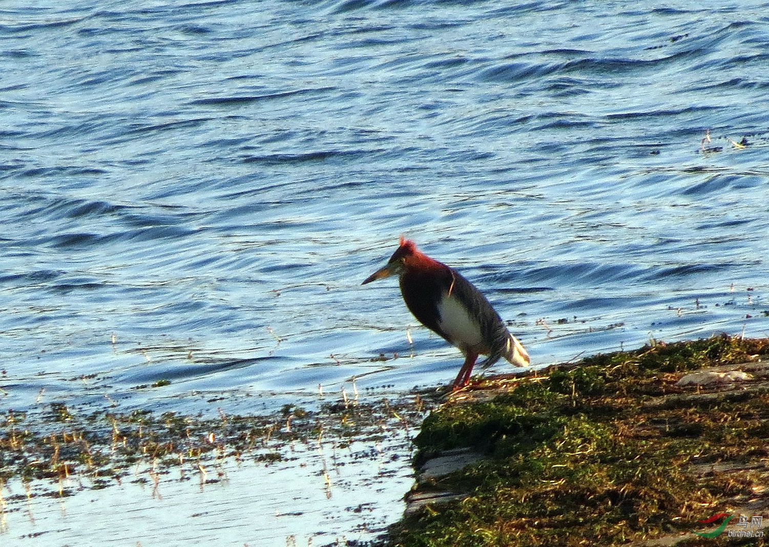 ���� (12).jpg