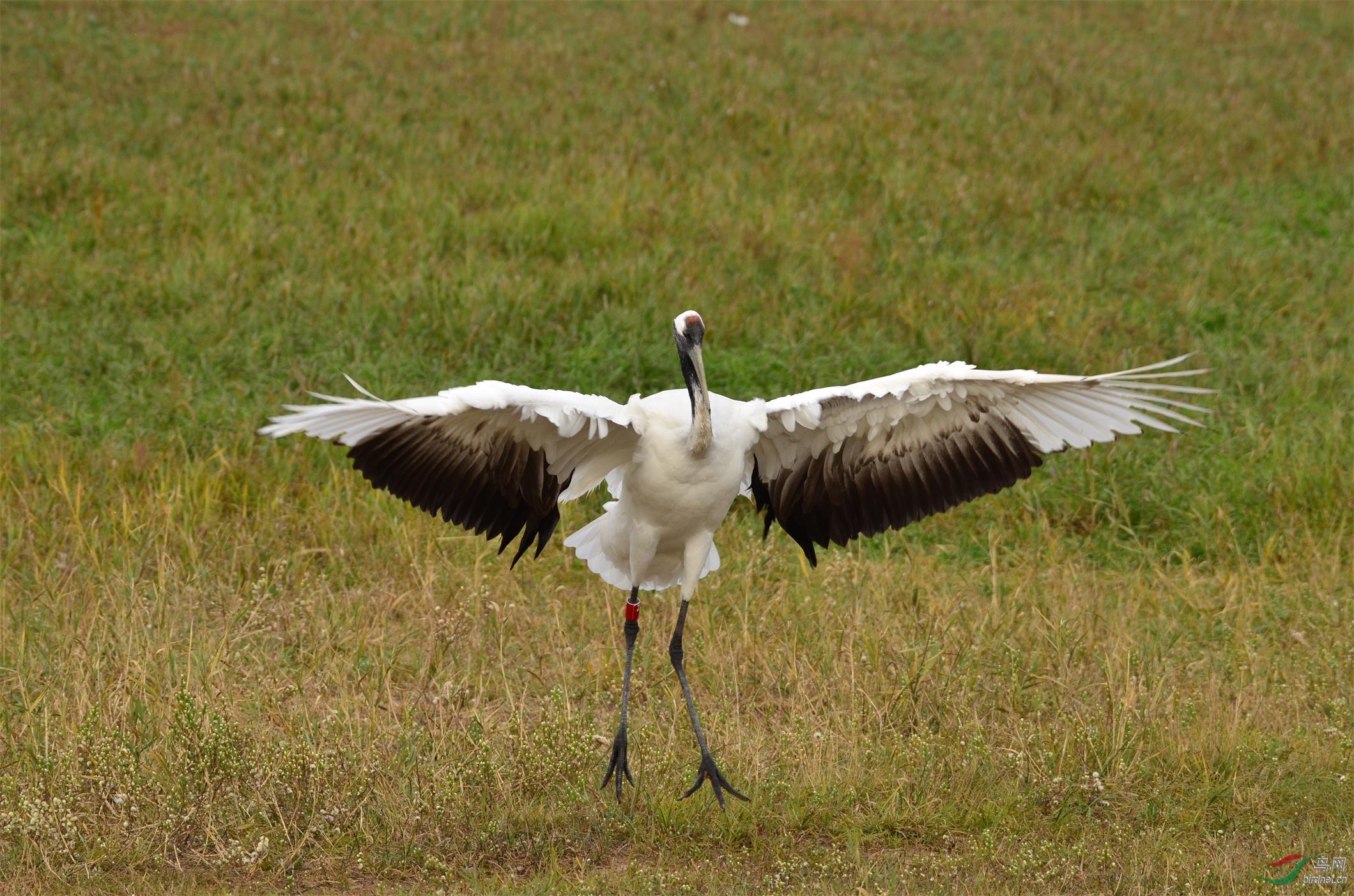 DSC_4826.JPG