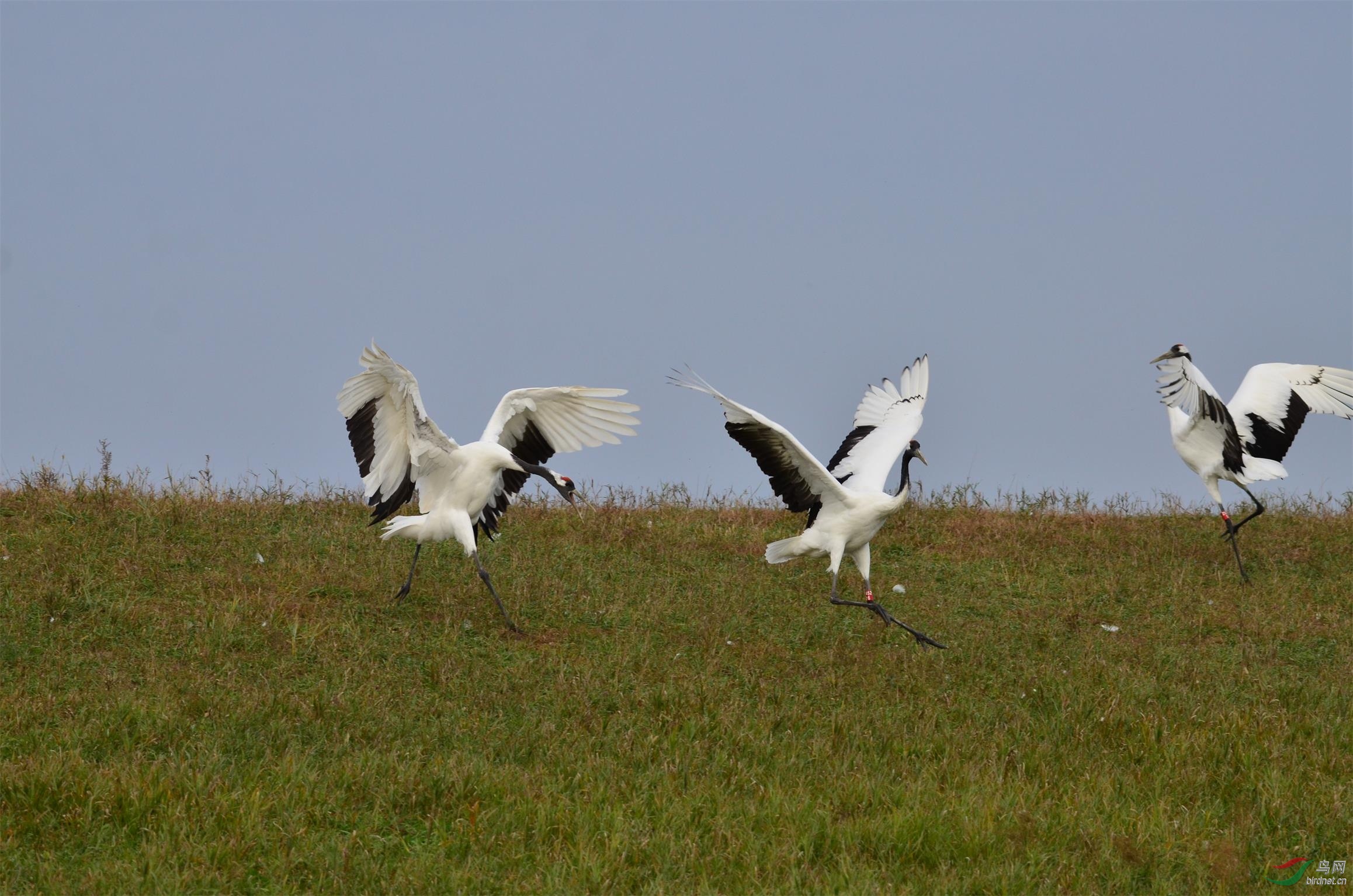 DSC_4842.JPG