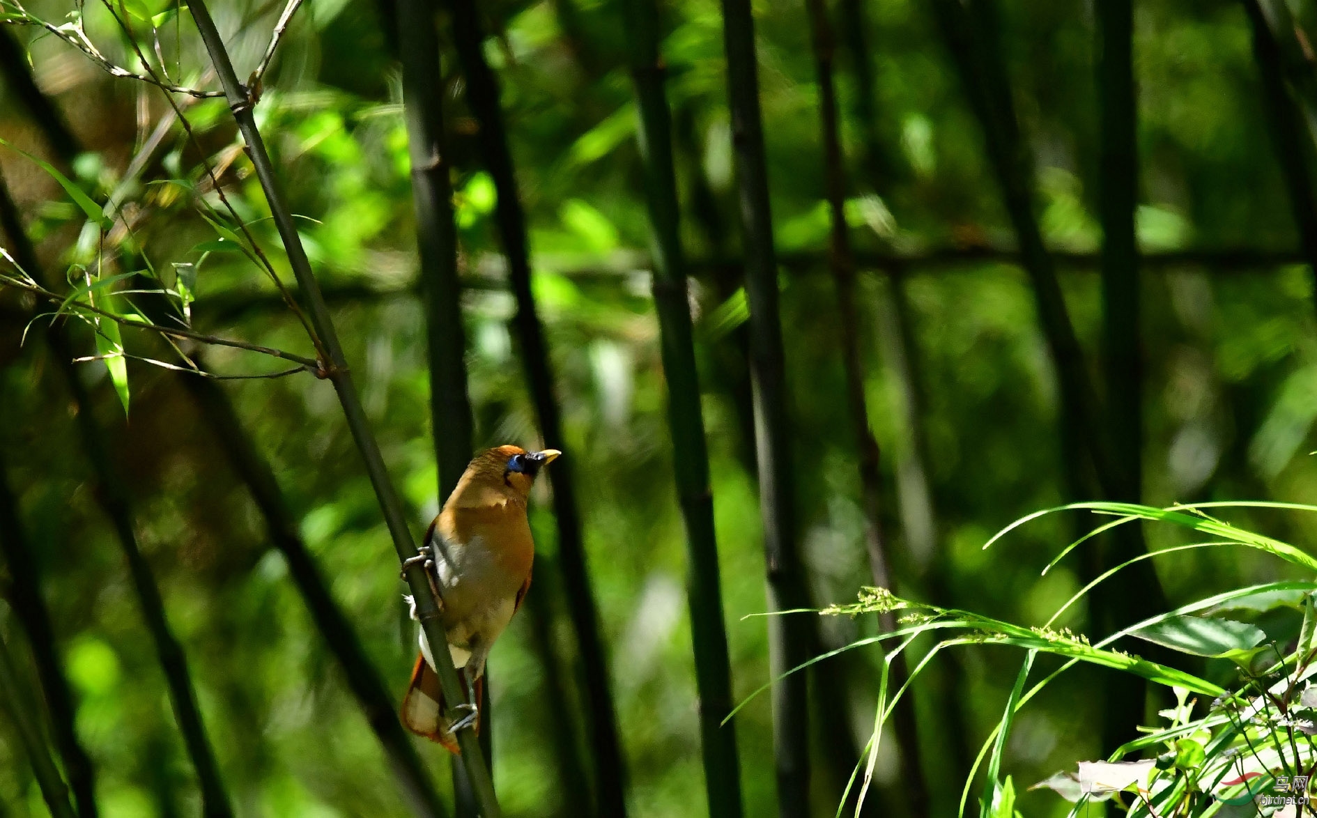 DSC_4487_����.jpg