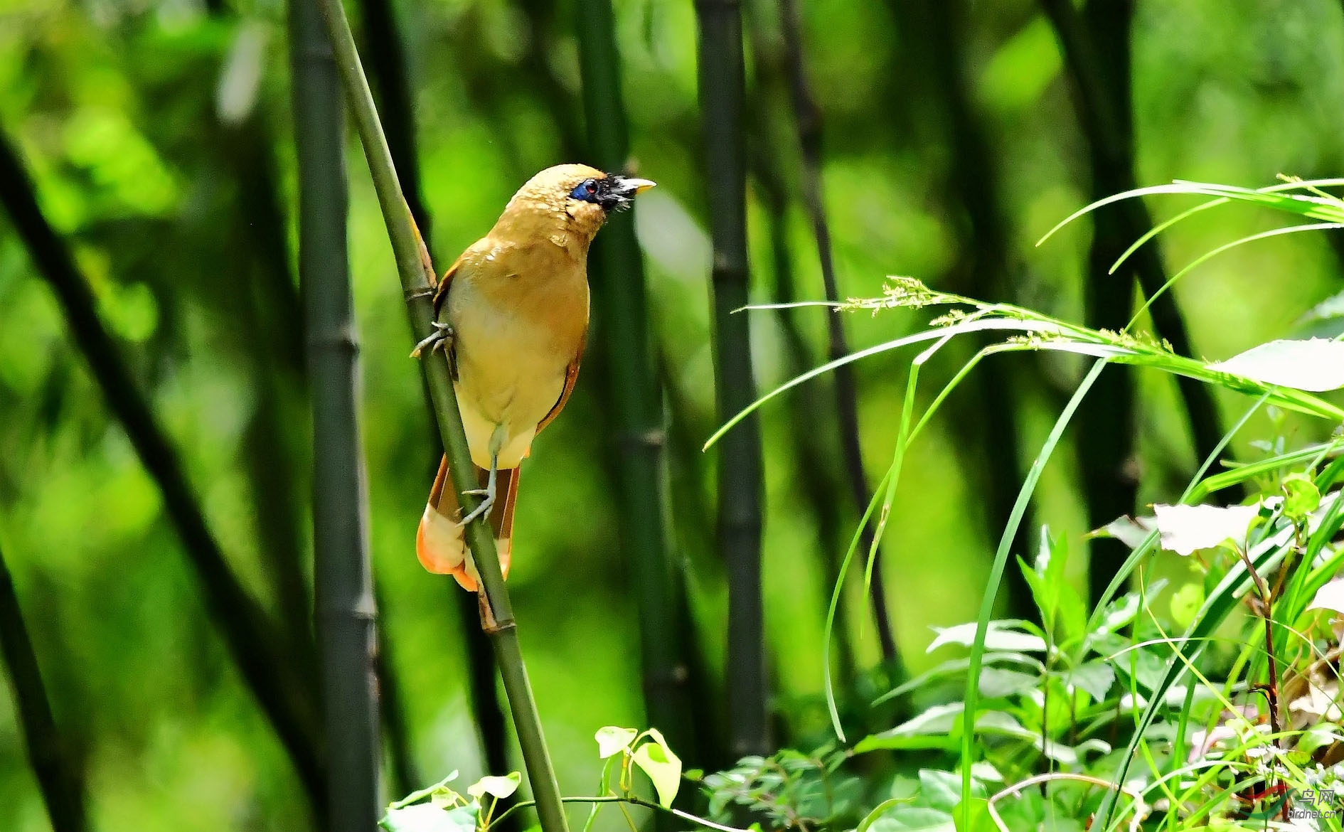 DSC_5424_����.jpg