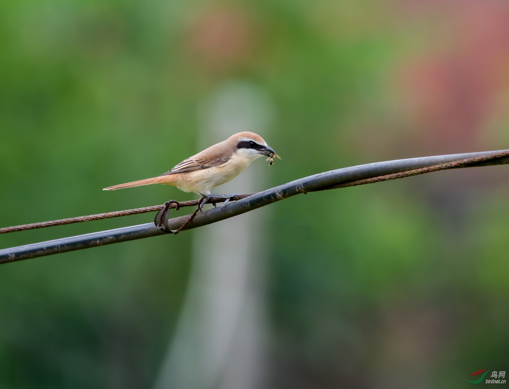 DSC_7686.jpg