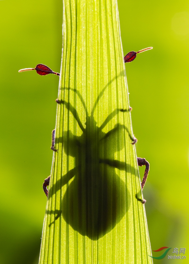 ��Ӱ ���� 13597916995 - ����.jpg