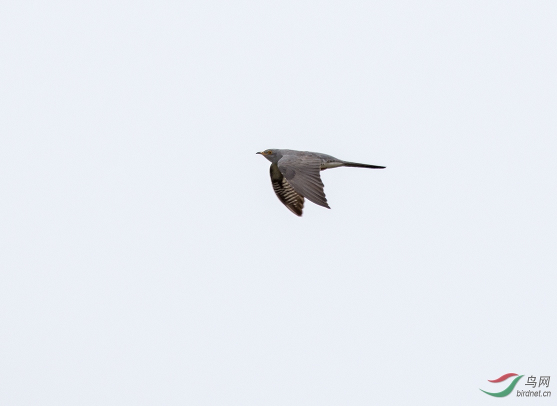 DSC_5039.jpg