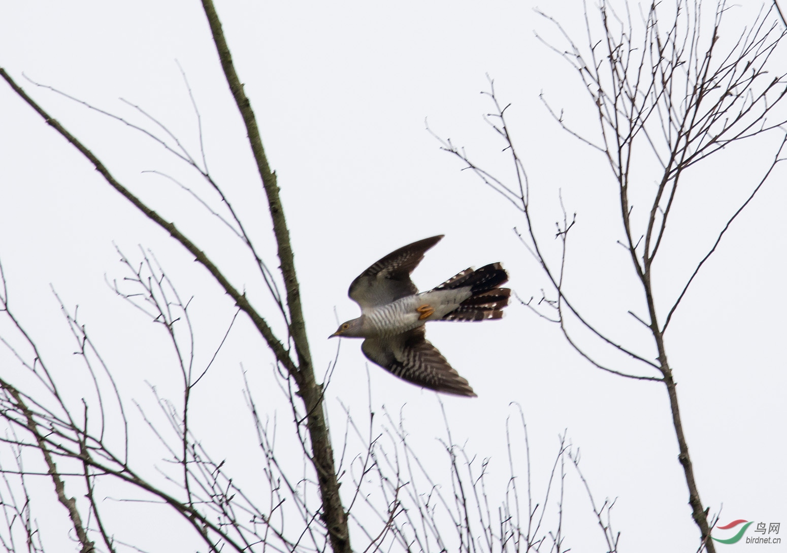 DSC_5049.jpg
