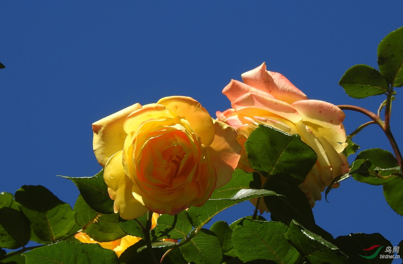 DSCN2289.JPG