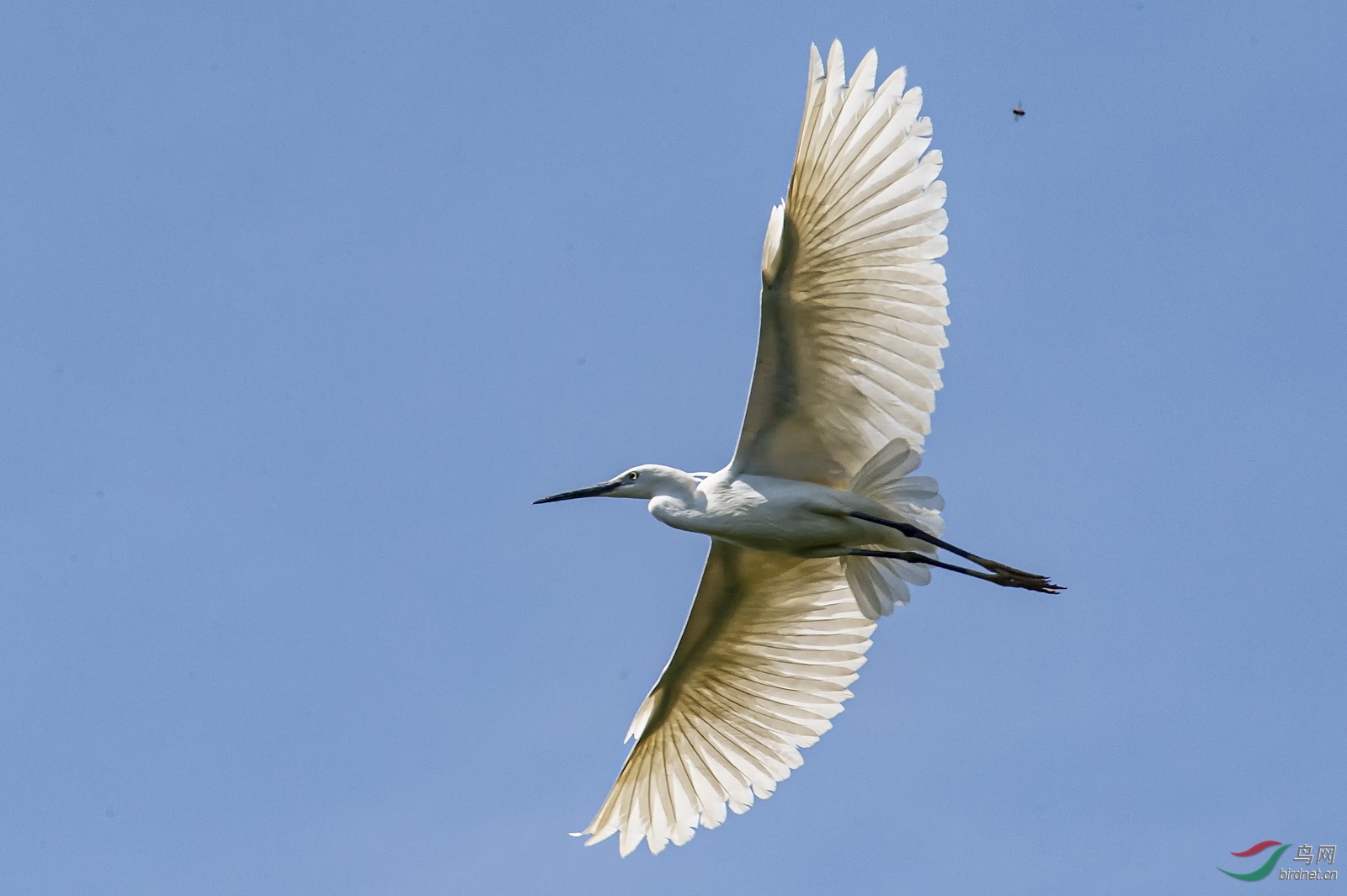 DSC_5182.jpg