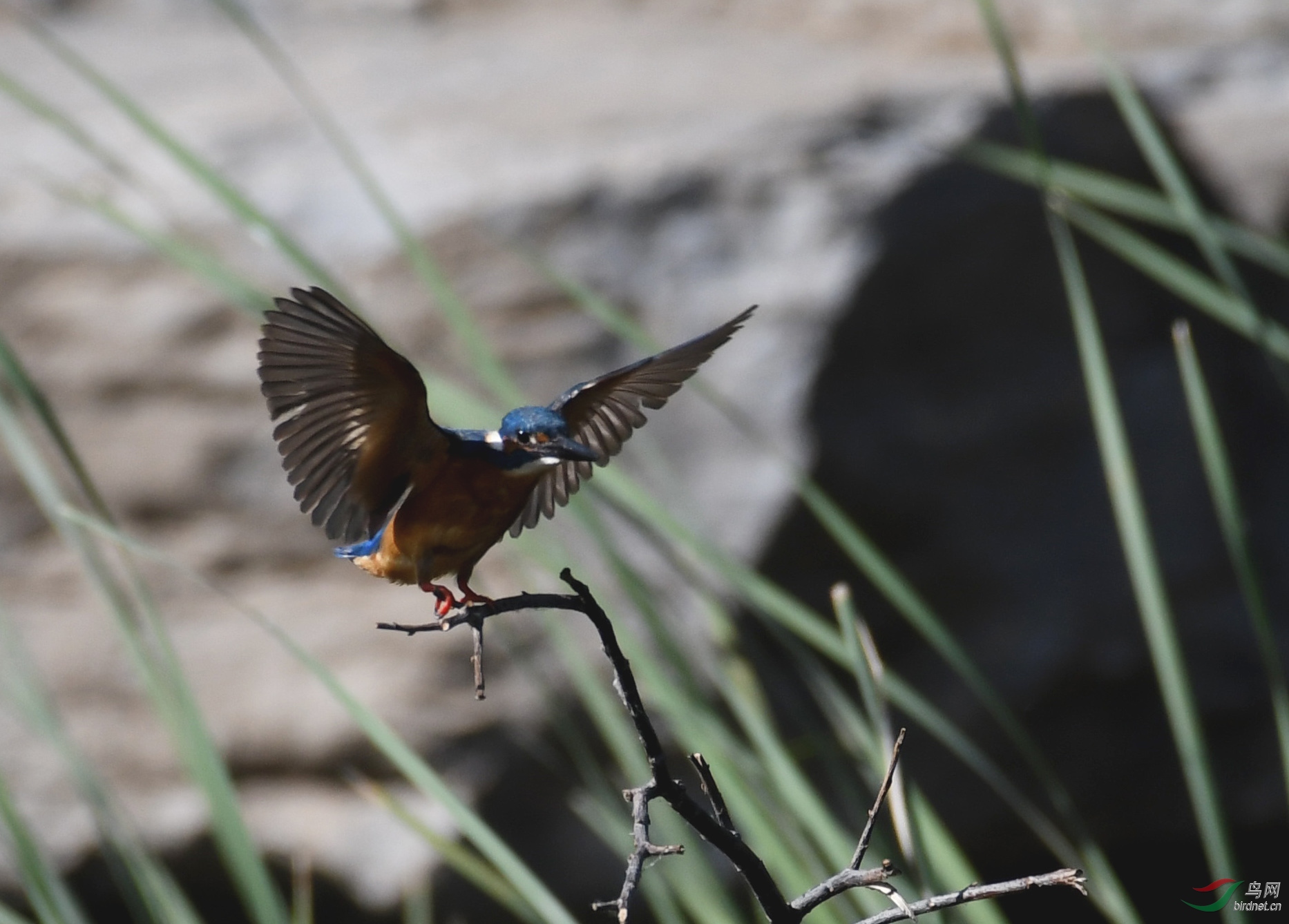 ������Ӱ 1452����.jpg