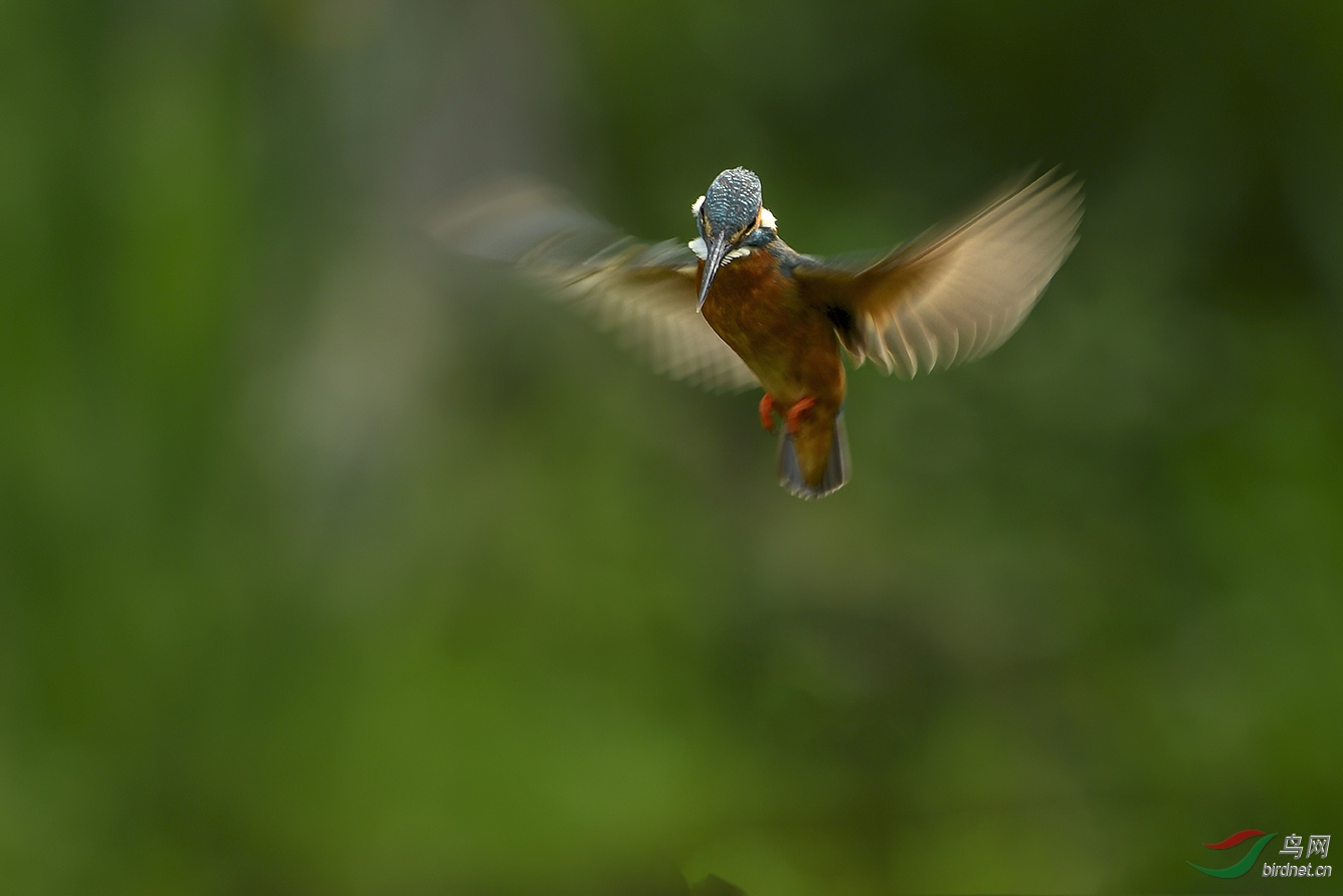 DSC_3581-2.jpg