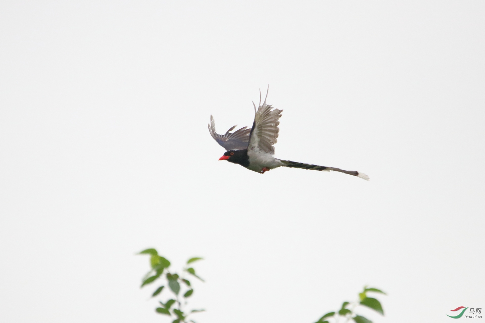 IMG_9788.JPG
