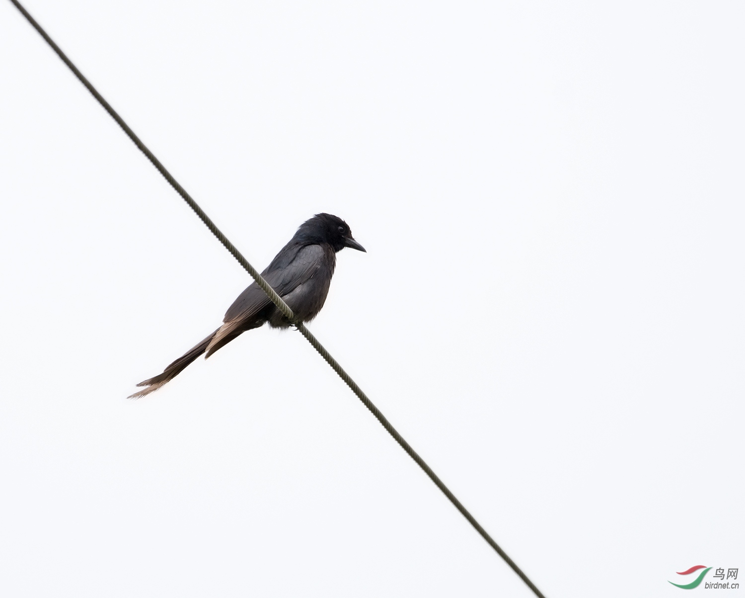 DSC_5068.jpg