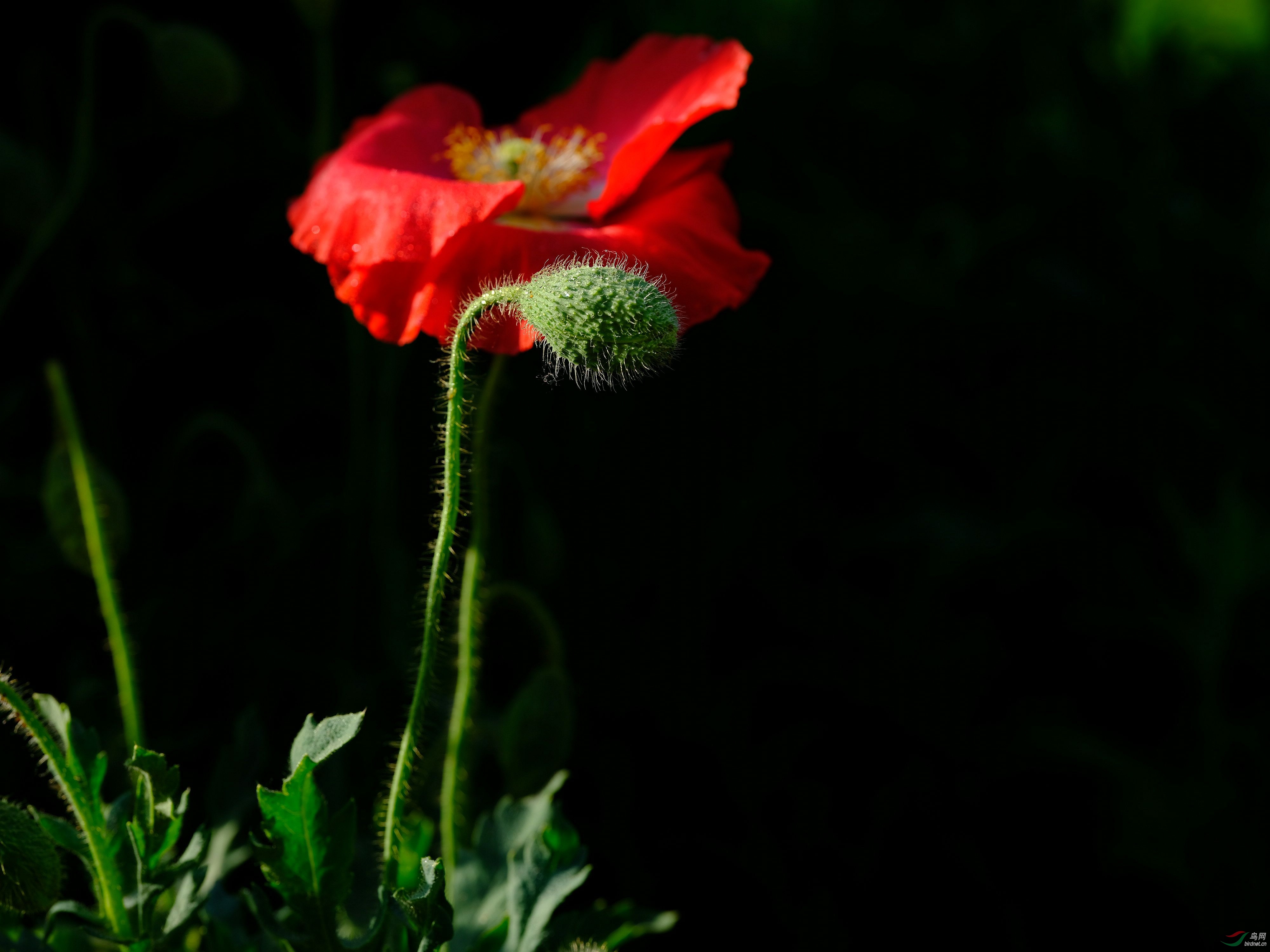 A0010012_����.jpg