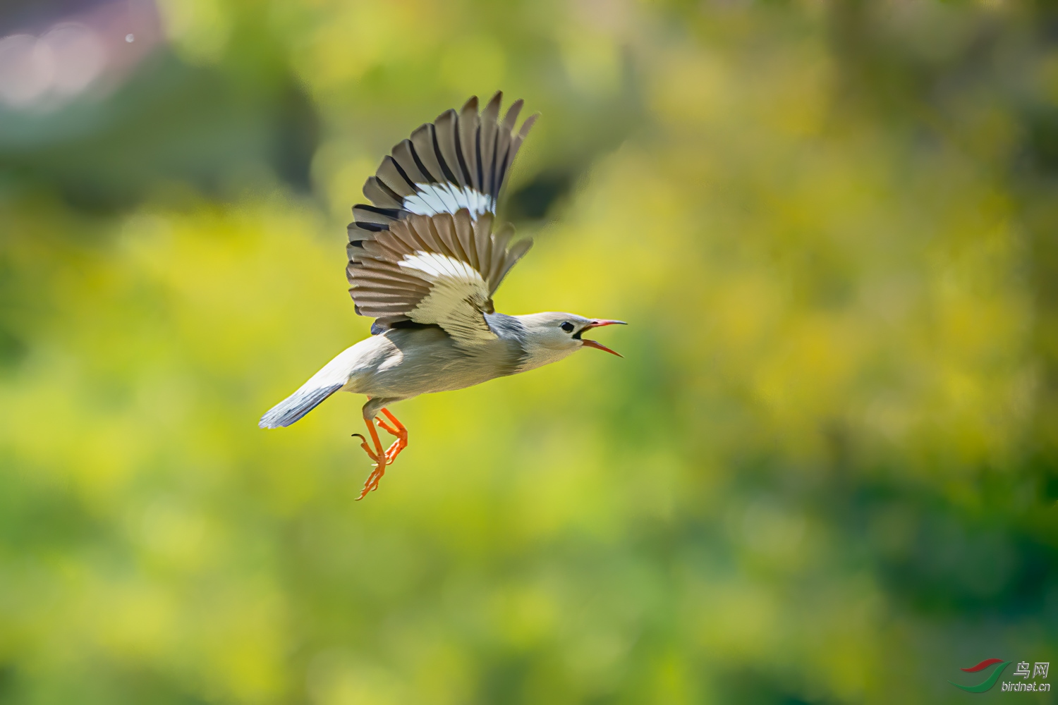 DSC_6037_1.jpg