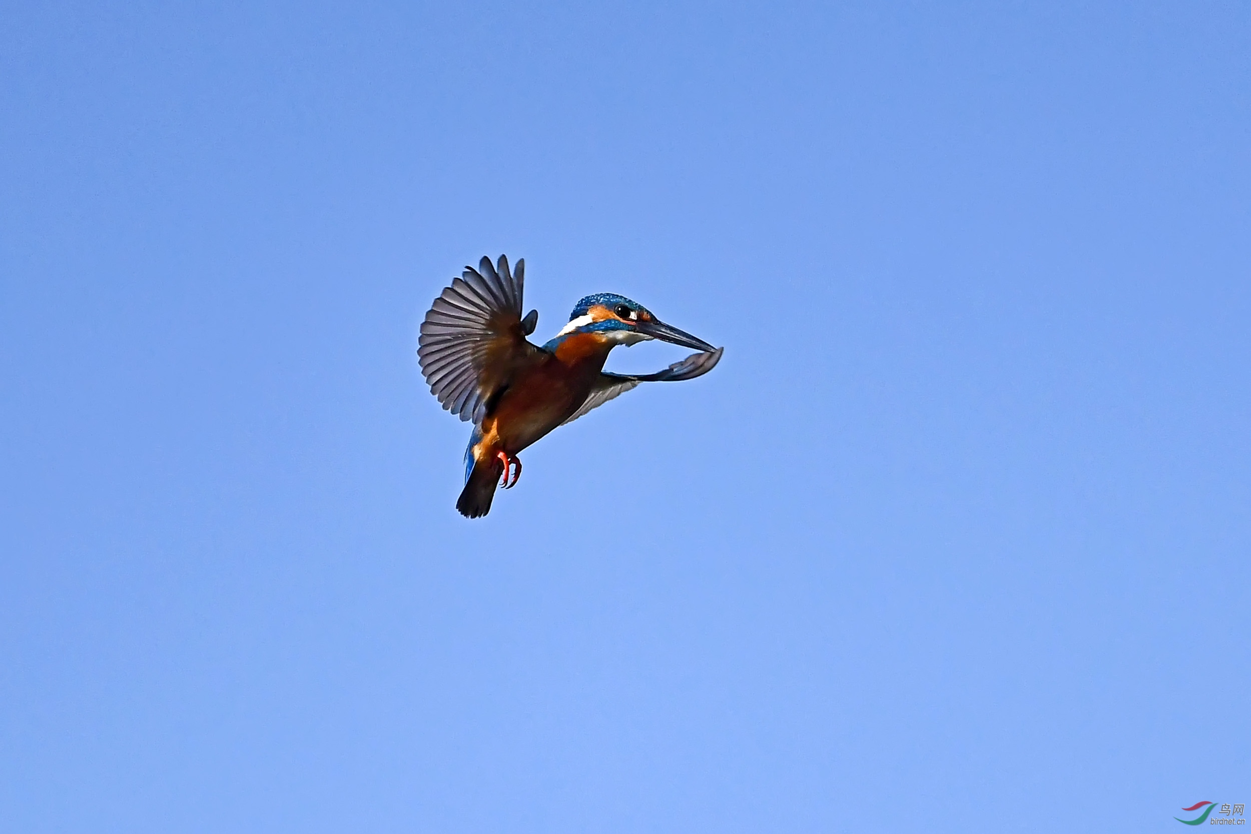 DSC_8878.jpg