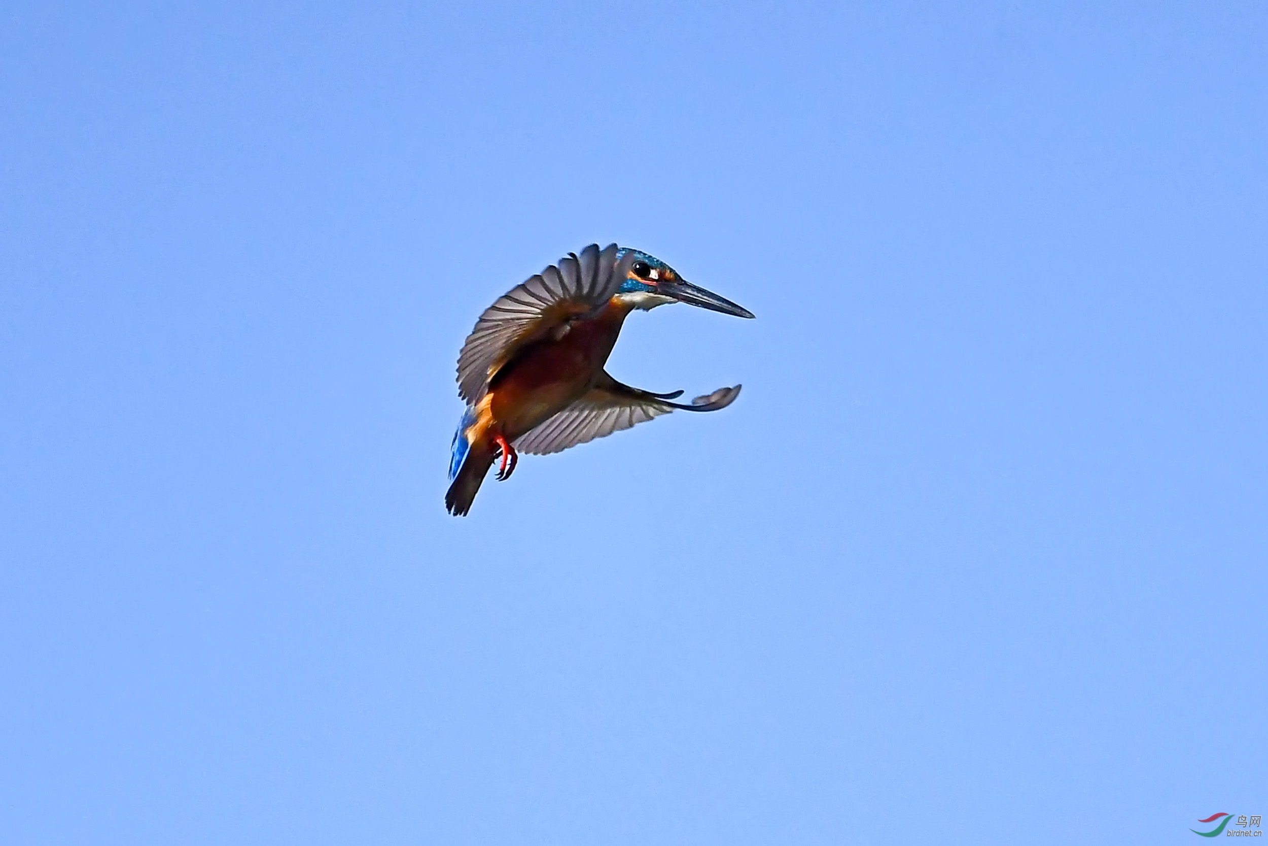 DSC_8881.jpg
