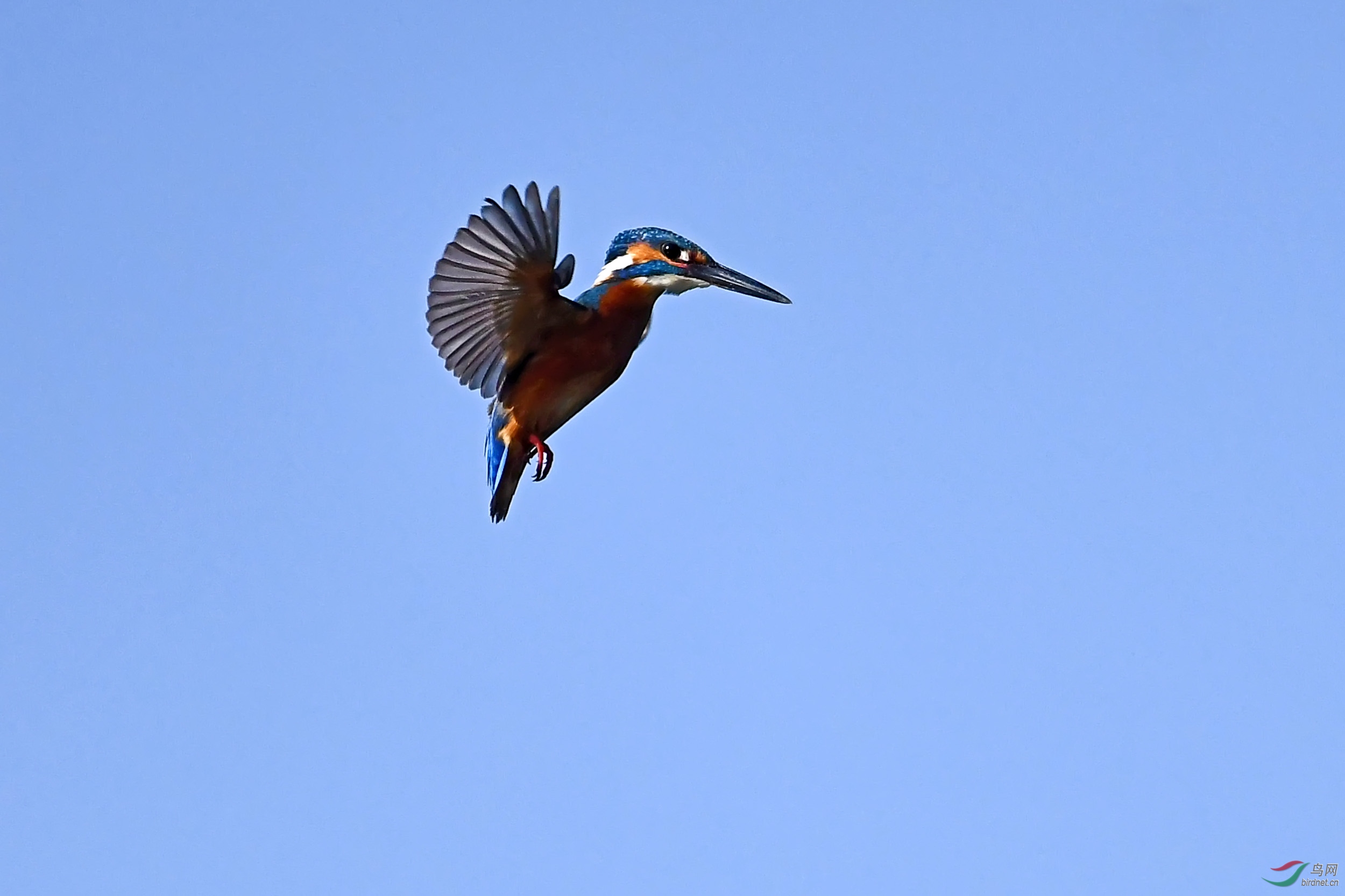DSC_8884.jpg