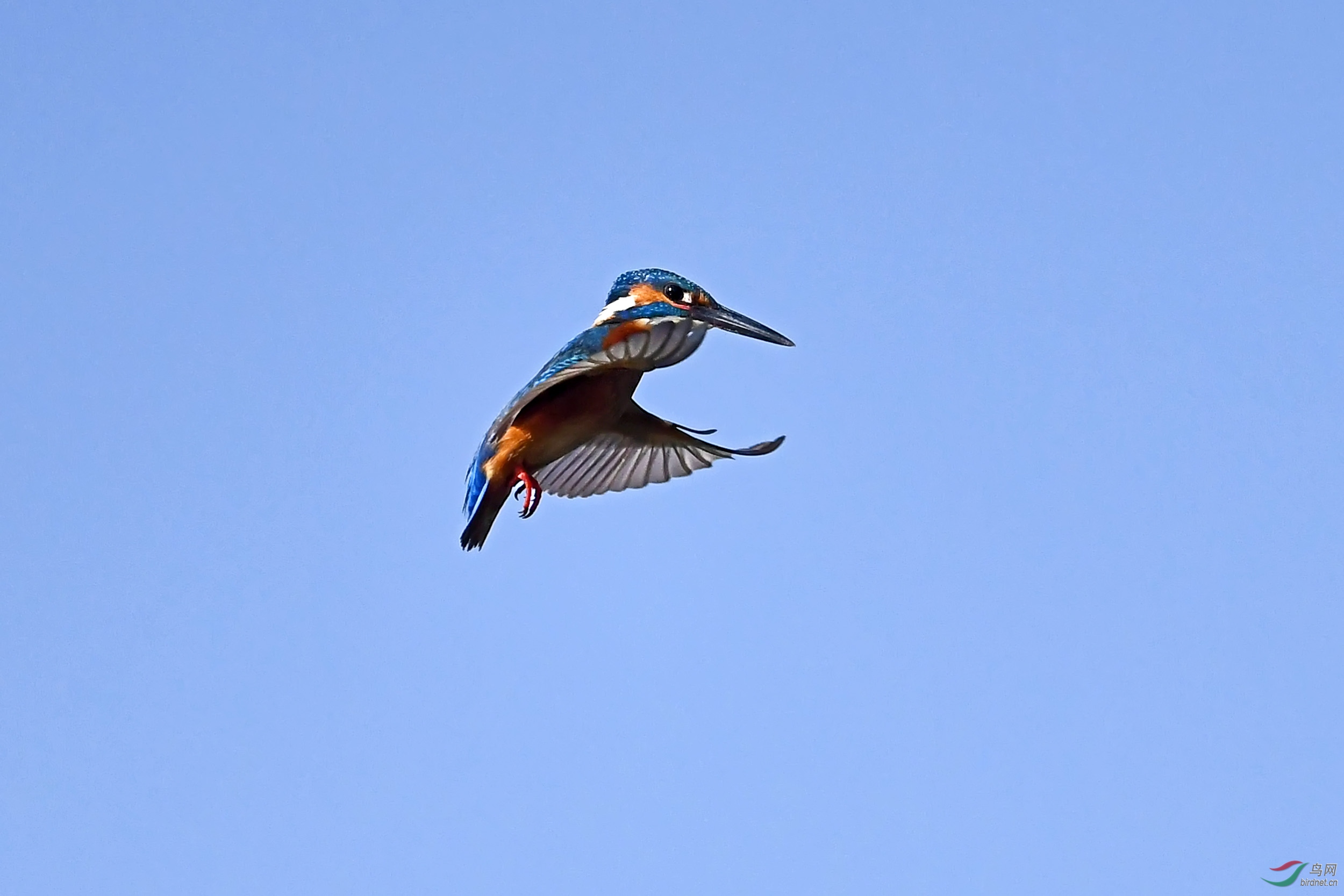 DSC_8887.jpg
