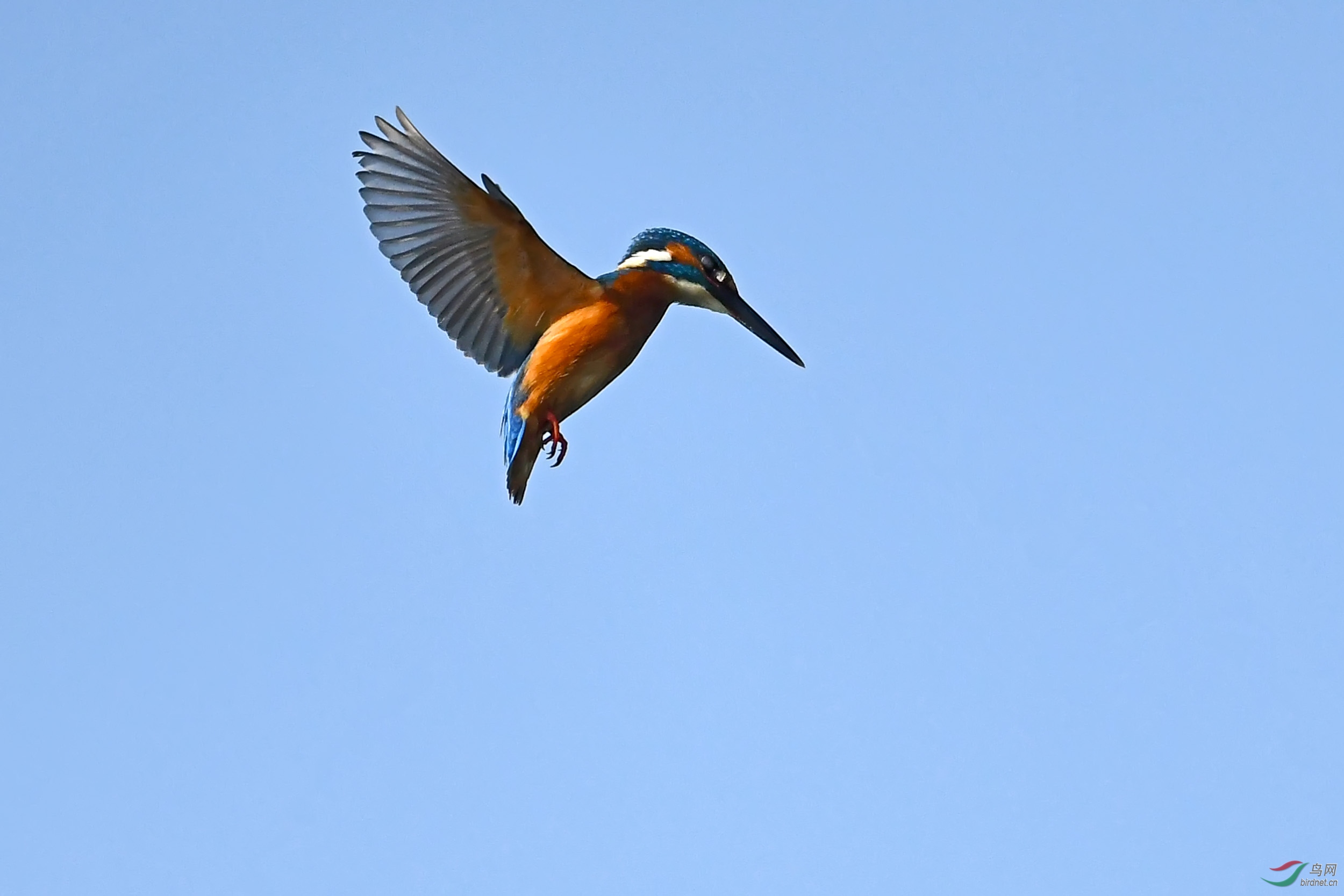 DSC_8893.jpg