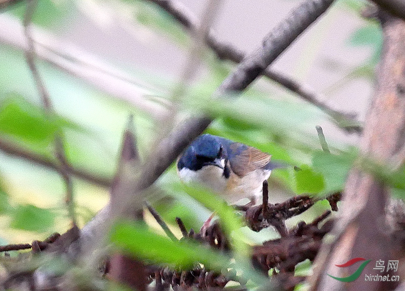 P4790813.JPG