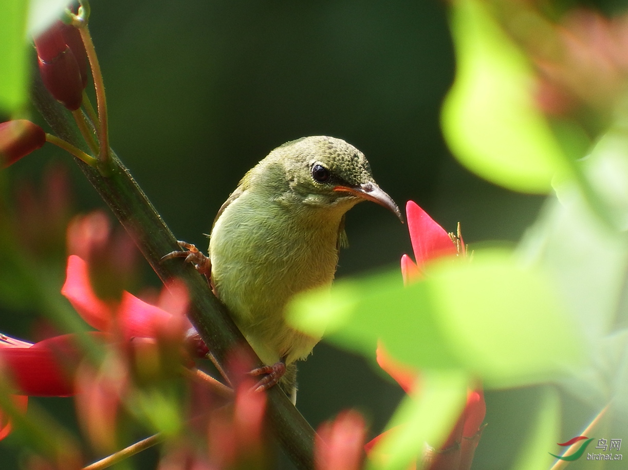 FinePix S165_����.jpg