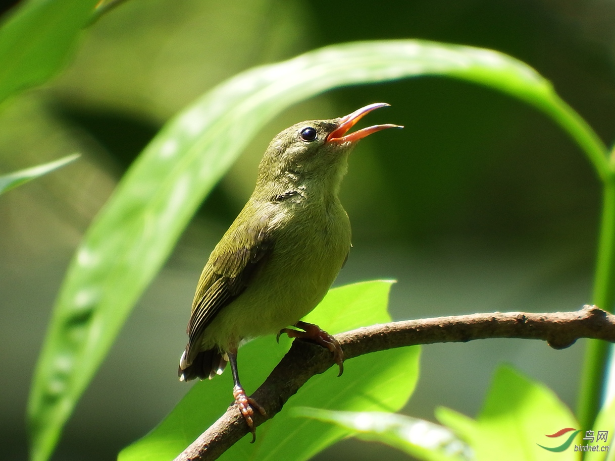 FinePix S196_����.jpg