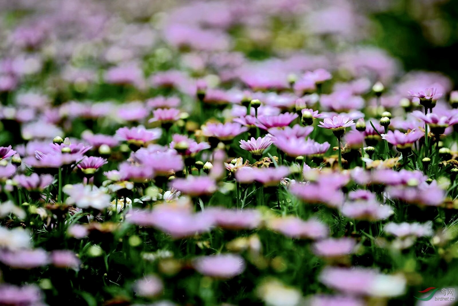 5177521B-0F98-4C3C-8D07-AA5D545CBAAC.jpeg