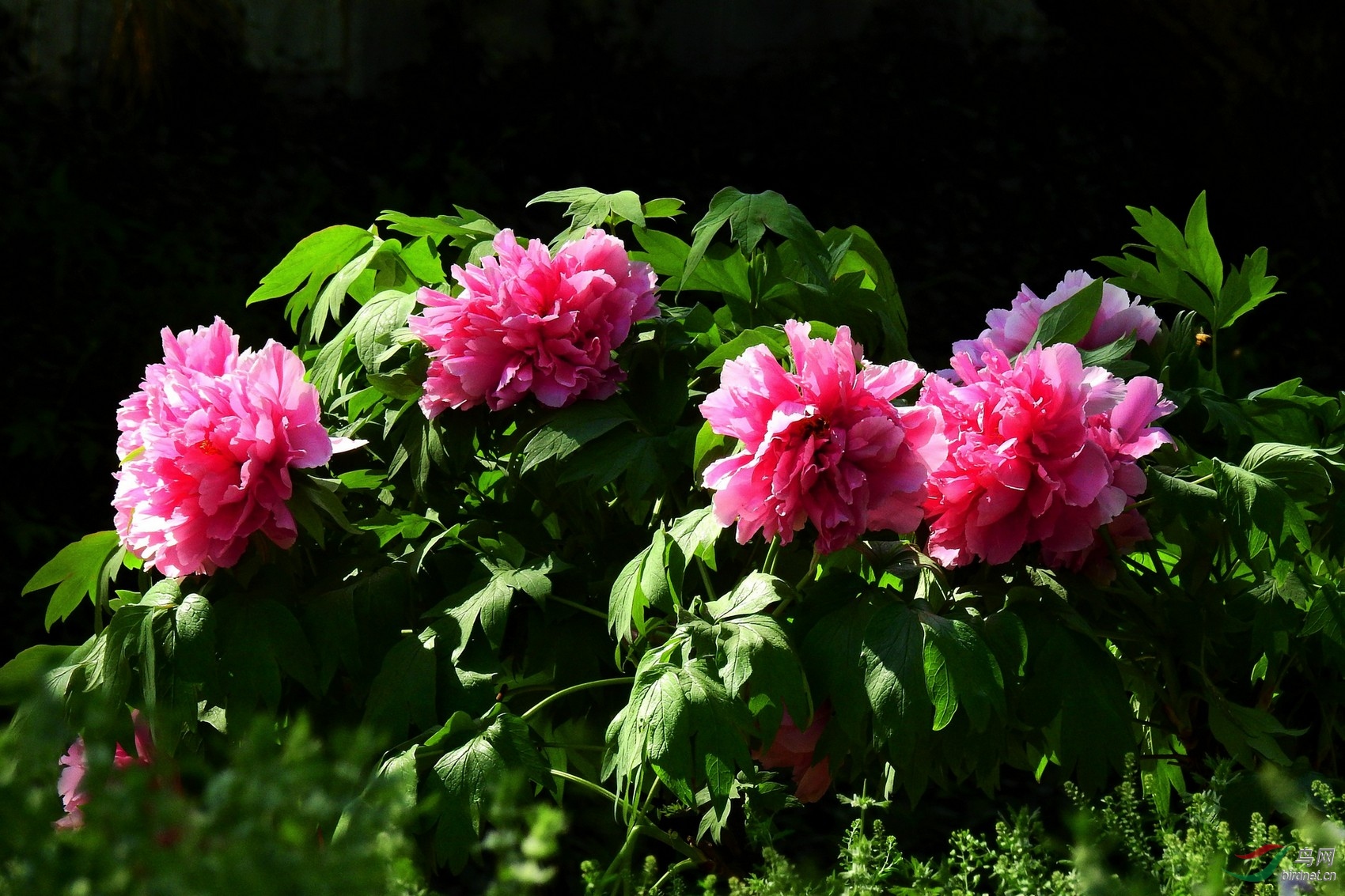 DSCN8833.JPG