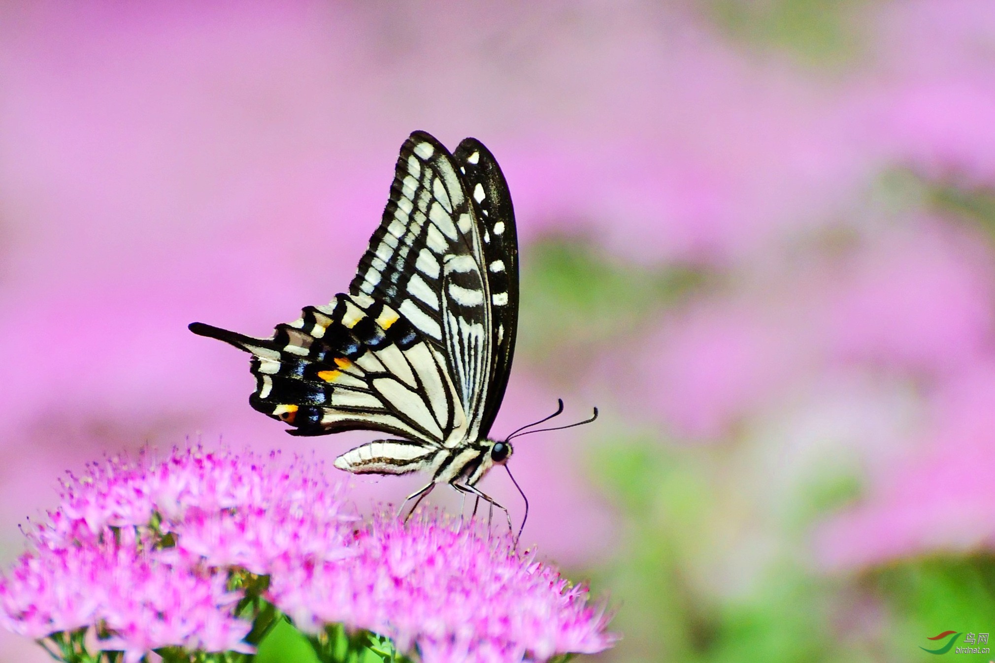 长，像， 182.JPG