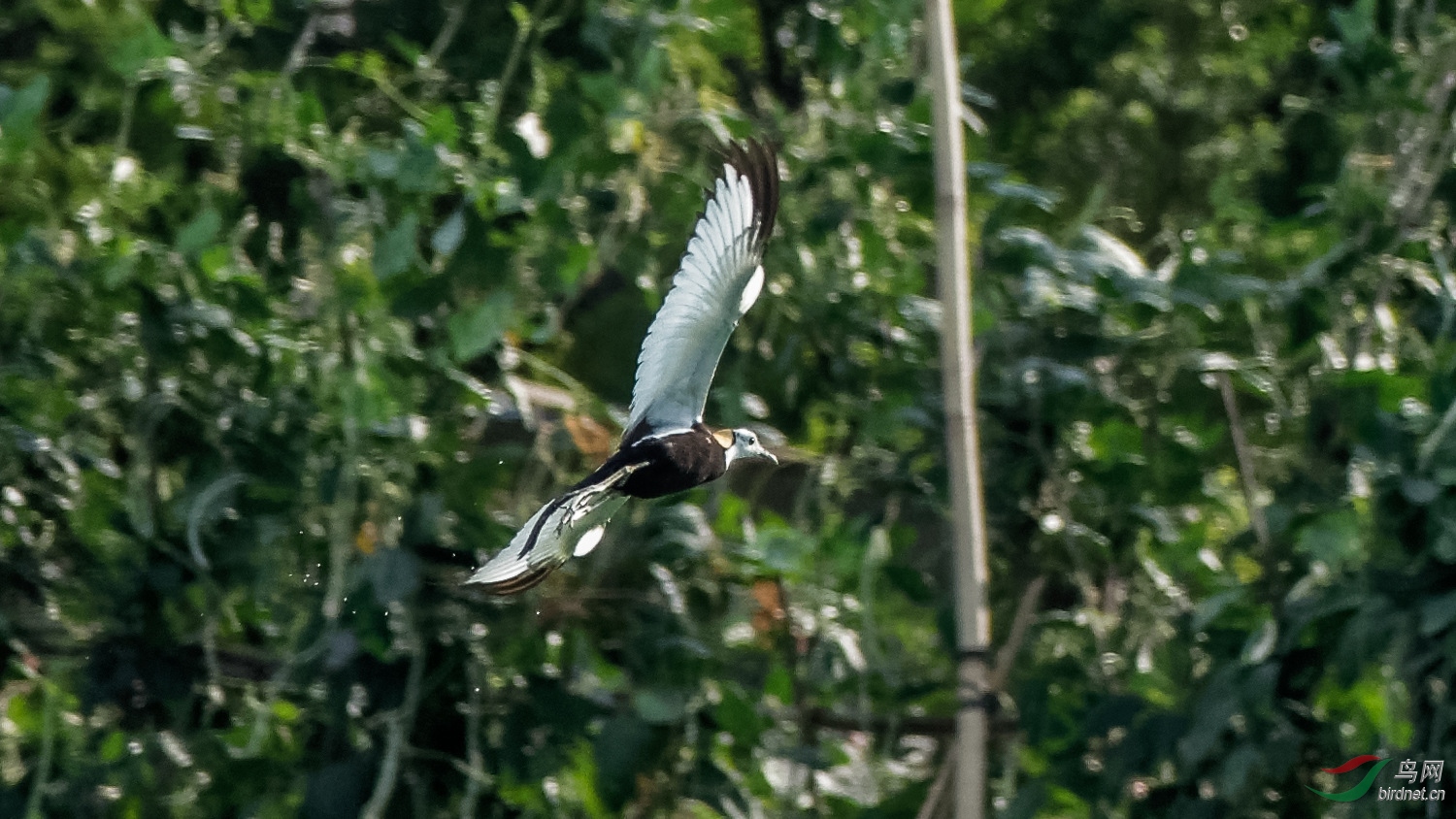 DSC00353_DxO_����.jpg