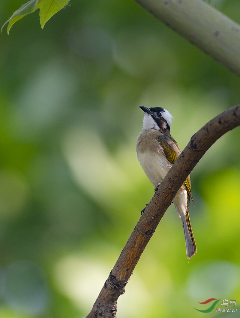 DSC_6114.jpg