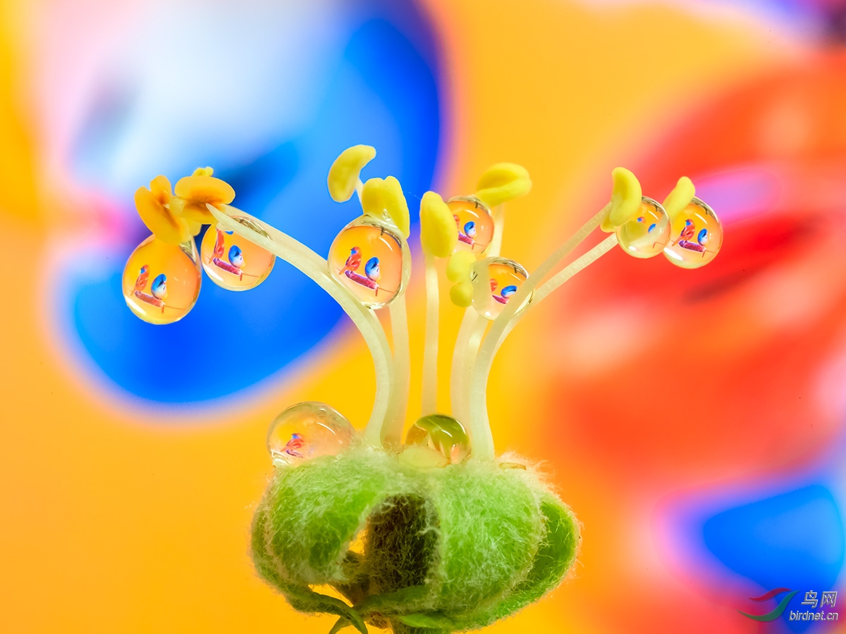 ˮ��ӳ����-300.jpg