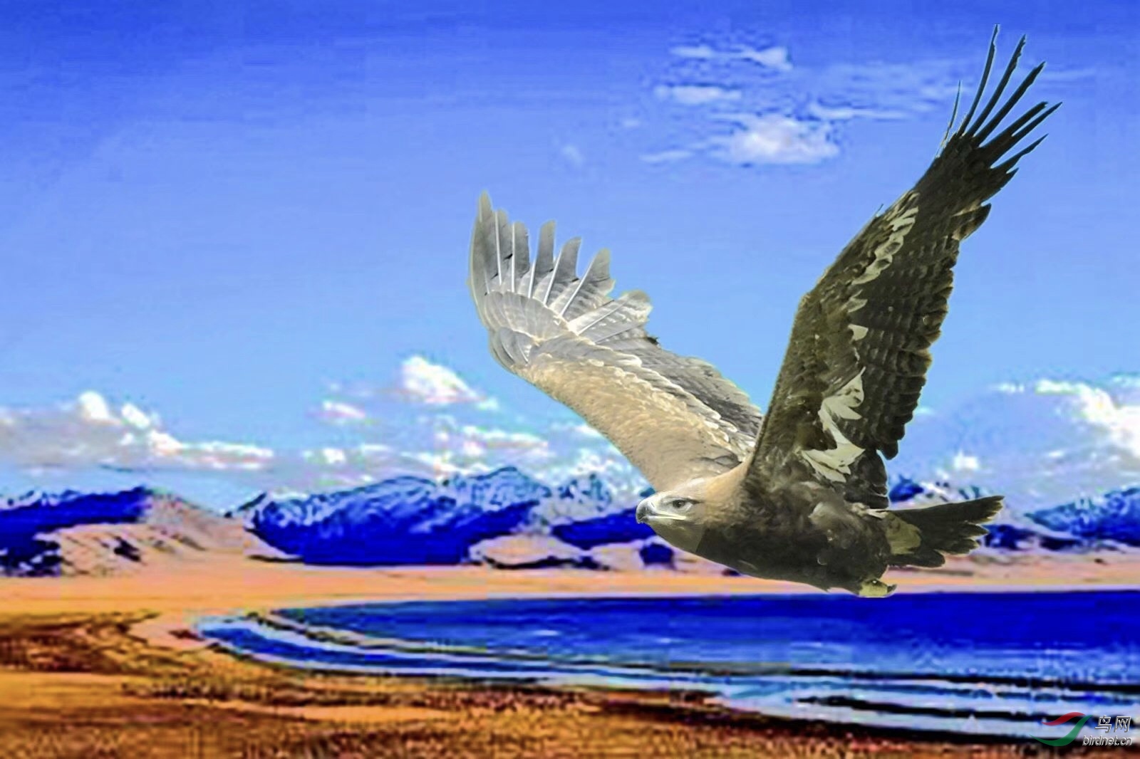 1B080FEF-6A7A-4011-89F7-B7E65F502DF4.jpeg