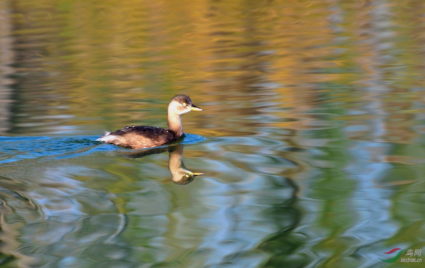 DSC_1361.JPG